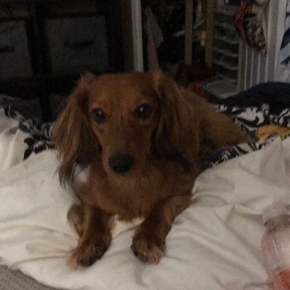 My Baby